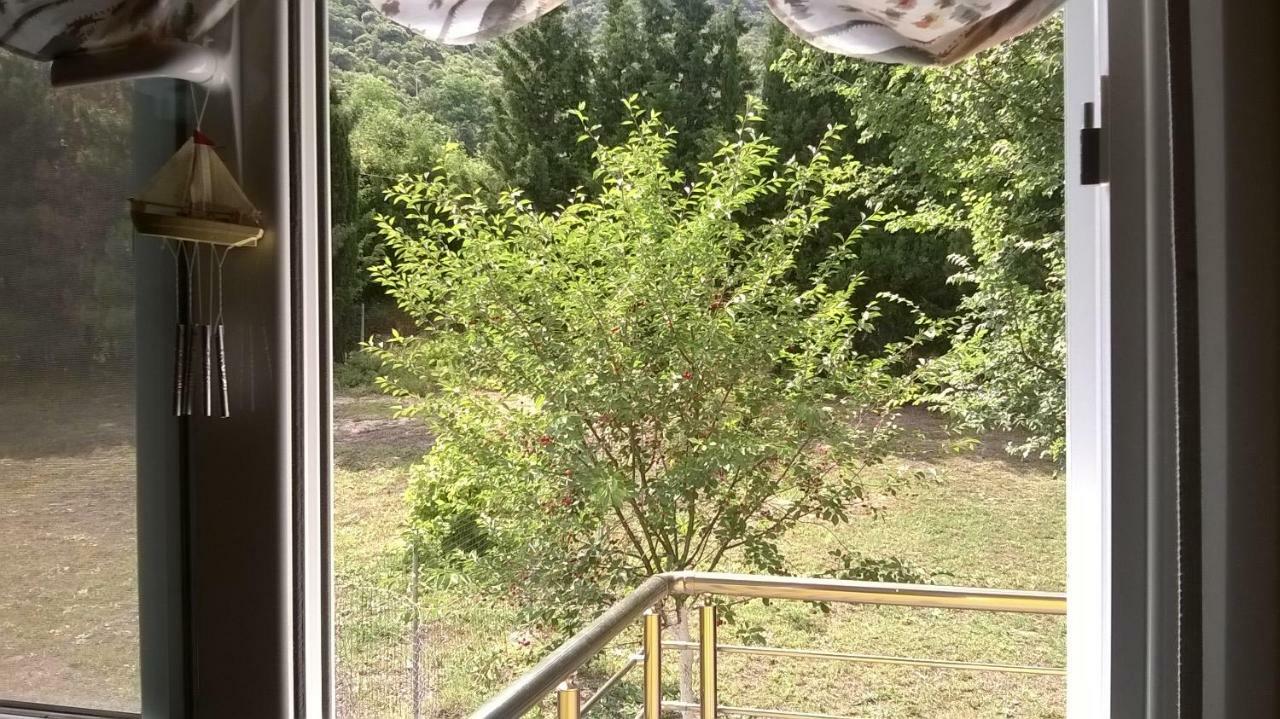 Martha'S Villa Nea Iraklitsa Εξωτερικό φωτογραφία