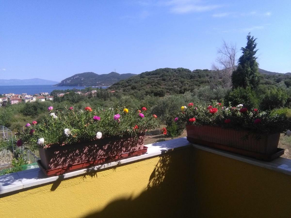 Martha'S Villa Nea Iraklitsa Εξωτερικό φωτογραφία