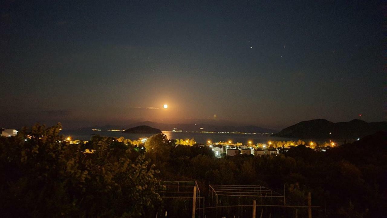 Martha'S Villa Nea Iraklitsa Εξωτερικό φωτογραφία